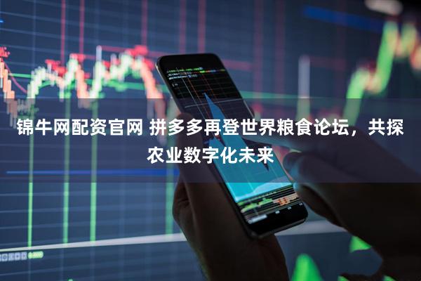 锦牛网配资官网 拼多多再登世界粮食论坛，共探农业数字化未来
