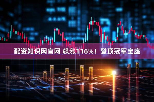 配资知识网官网 飙涨116%！登顶冠军宝座