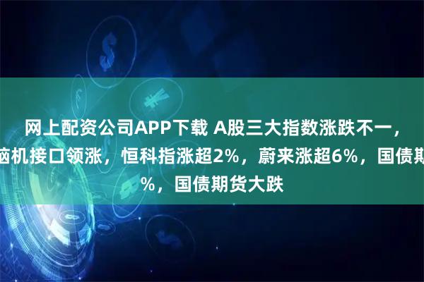网上配资公司APP下载 A股三大指数涨跌不一，纤维、脑机接口领涨，恒科指涨超2%，蔚来涨超6%，国债期货大跌