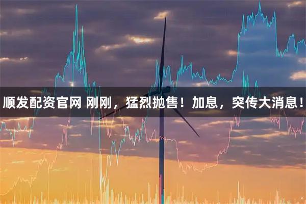 顺发配资官网 刚刚，猛烈抛售！加息，突传大消息！